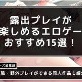 露出　エロゲ